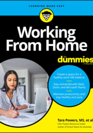 Working from home for dummies Ebook